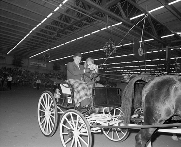 885085 Afbeelding van een de winnaar in één van de tuigpaardrubrieken tijdens de 54e Vee- en Paardendagen in de ...